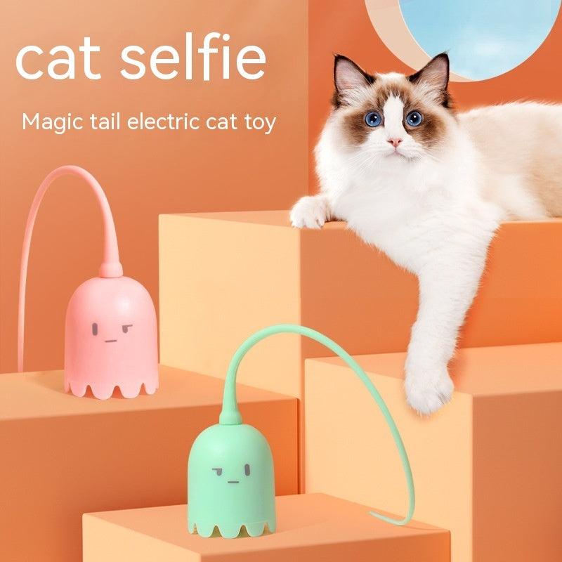 Household Pet Electric Cat Teaser